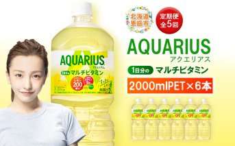 【定期便：全5回】アクエリアス 1日分のマルチビタミン　2LPET×6本【380089】