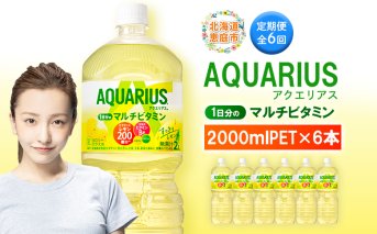 【定期便：全6回】アクエリアス 1日分のマルチビタミン　2LPET×6本【380090】