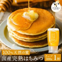 【2025年採蜜予約受付 2025年8月から順次発送】 完熟はちみつ　300g（藤岡養蜂園） 　008FY01N. ／ 完熟 熟成 天然 ハチミツ 養蜂 蜂蜜 ミツバチ チューブ
