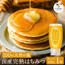 【2025年採蜜予約受付 2025年8月から順次発送】 完熟はちみつ　500g（藤岡養蜂園） 　014FY01N. ／ 完熟 熟成 天然 ハチミツ 養蜂 蜂蜜 ミツバチ チューブ