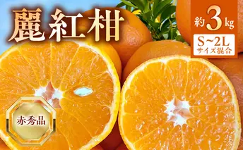 BF6062_（2026年先行受付）麗紅柑 (れいこう) 赤秀品 S～2Lサイズ 3kg 和歌山有田産