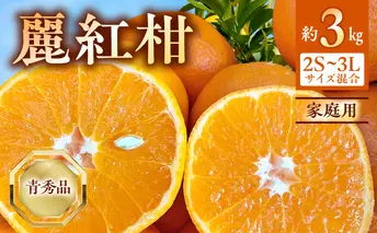 BF6063_（2026年先行受付）麗紅柑 (れいこう) 青秀品 (家庭用) 2S～3Lサイズ 3kg 和歌山有田産