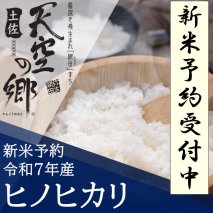【新米予約】令和7年産 土佐天空の郷 ヒノヒカリ 10kg 農林水産省の「つなぐ棚田遺産」に選ばれた棚田で育てられた棚田米