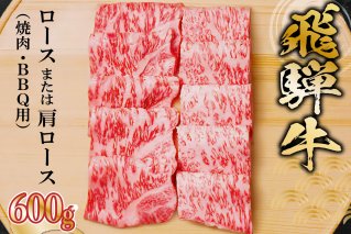 飛騨牛 ロースまたは肩ロース 600g (焼肉・BBQ用) 岐阜県 可児市 肉 牛肉 和牛 ブランド牛 国産 霜降り 柔らか 旨み 冷凍 バーベキュー アウトドア ギフト 贈答 養老ミート 焼肉 BBQ 【0091-007】