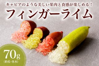 [先行受付]フィンガーライム 70g 果物 国産 フルーツ ライム 炭酸 ドリンク トッピング[0094-003]