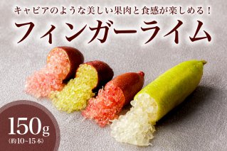 フィンガーライム　150g 果物 国産 フルーツ ライム 炭酸 ドリンク トッピング【0094-004】