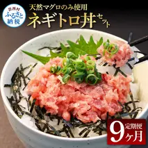 《9ヶ月定期便》天然マグロのタタキ丼セット 65g×6P 海鮮 天然 鮪 ネギトロ丼 まぐろたたき 海鮮丼 軍艦巻 手巻寿司 使いやすい 便利 個食 大容量 冷凍配送 小分け お手軽 ねぎとろ