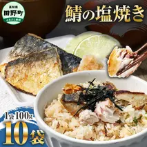 ～四国一小さなまち～ 焼き塩鯖 10袋 1袋約100g さば サバ 焼魚 焼き魚 レンジ 魚 魚介類 海鮮 国産 簡単 時短 おかず おつまみ 和食 惣菜 食品 お取り寄せ ごはんのお供 お酒のあて