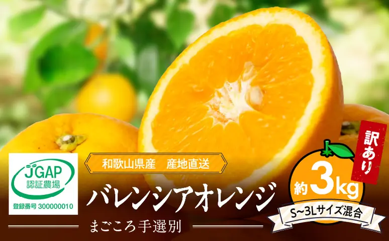 ZE6508_和歌山県産 バレンシアオレンジ 3kg 家庭用 | クチコミで探す