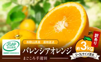 ZE6508_【2026年先行予約】和歌山県産 バレンシアオレンジ 3kg 家庭用