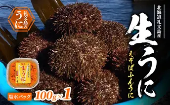 北海道 礼文島産 生うに (えぞばふんうに) 塩水パック 100g×1 生ウニ 塩水うに 魚貝類 雲丹