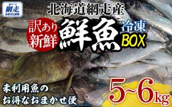 【訳あり】網走産冷凍鮮魚BOX～未利用魚の有効活用（漁業生産者応援企画）～  ABAE011