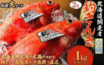 網走産釣りキンキ2尾で約1.2kg 冷蔵届け  ABAO116