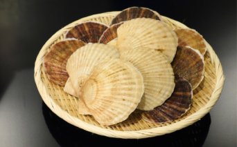 【先行予約】北海道網走産天然活ホタテ貝 4kg前後（令和7年7月より順次発送）  ABAE017