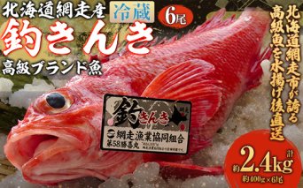 【先行予約】【網走産】高級ブランド釣きんき 6尾【冷蔵】（2025年5月15日より順次発送）  ABJ019
