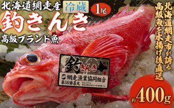 【先行予約】【網走産】高級ブランド釣きんき 1尾【冷蔵】（2025年5月15日より順次発送）  ABJ016