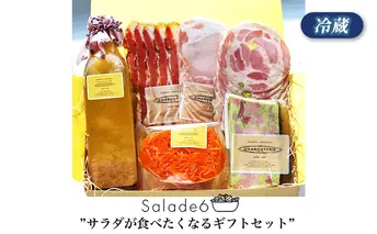 サラダ6　冷蔵　食品 加工肉 豚肉 ベーコン ロースハム ソーセージ テリーヌ サラダ にんじんサラダ マリネ ギフト 贈答品