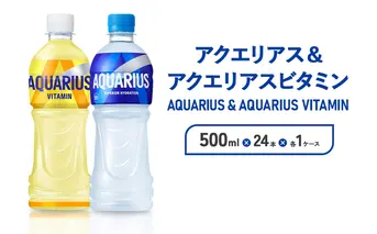 アクエリアス ビタミン アクエリアス PET 500ml×24本×各1ケース セット 合計48本 2ケース【コカコーラ】水分補給 スポーツ飲料 清涼飲料水 常温 AQUARIUS コカ・コーラ 熱中症対策 送料無料 部活 少年団