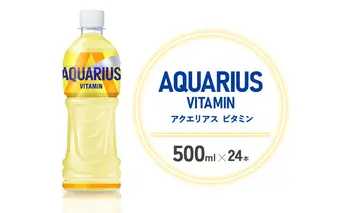 アクエリアス 1日分のマルチビタミン PET 500ml×24本 1ケース【コカコーラ】 水分補給 スポーツ飲料 清涼飲料水 常温 AQUARIUS コカ・コーラ 熱中症対策 送料無料