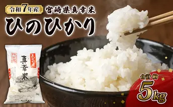 【令和7年度】限定品 えびの産 ヒノヒカリ 真幸米(まさきまい) 5kg 米 ひのひかり お米 精米 白米 おにぎり お弁当 宮崎県産 九州産 送料無料 冷めても美味しい