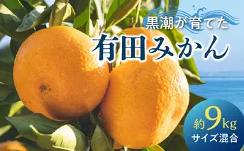 AE6110_黒潮が育てた 有田みかん 約9kg (サイズ混合)