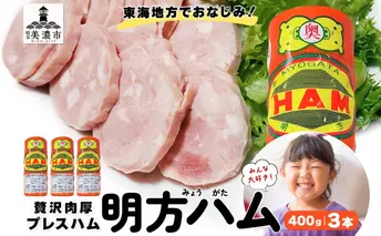 【9月中旬ごろより順次発送】明方 ハム 3本 プレスハム JA ブランド 高級 豚肉 お肉 国産 熟成 塩分 控えめ 天然 豚腸 バーベキュー BBQ 加工品 お取り寄せ 贈答 ギフト 送料無料 めぐみの農業協同組合 岐阜県 美濃市