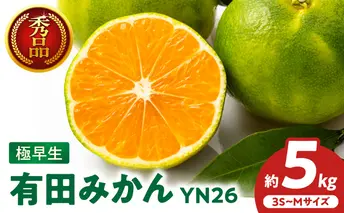ZT6403_有田みかん　極早生　秀品　約5Kg