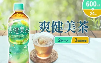 （3回定期便）爽健美茶 600ml PET【コカ・コーラ】ペットボトル 2ケース(48本) 定期便 3回(144本) セット お茶 カフェインゼロ ノンカフェイン ハトムギ ブレンド茶 宮崎県 えびの市 送料無料