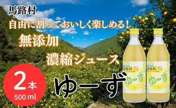 ゆーず ゆずジュース 6倍希釈飲料 500ml×2本 濃縮飲料