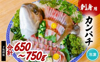 カンパチ 刺身用 約650ｇ～750ｇ かんぱち 勘八 小分け 養殖 冷凍
