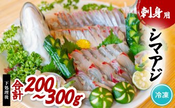 シマアジ 刺身用 約200～300g しまあじ 縞鯵 小分け 養殖 冷凍