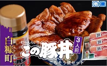※冷凍※この豚丼　ごちそう便セット【3人前】_I013-0163CZ