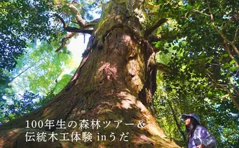 100年生の 森林ツアー ＆ 伝統木工体験 inうだ 2025夏／ 体験 関西 子供 親子 チケット 森林浴 ハイキング 木工体験 伝統工芸 林業 夏休み 宿題 MORITO 森庄 森庄銘木産業 奈良県 宇陀市 ふるさと納税
