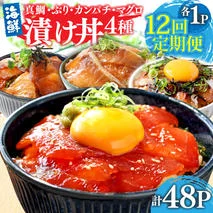 漬け丼セット4種 80g×各1P 12回定期便 海鮮丼 海鮮丼セット 真鯛 ブリ カンパチ マグロ 海鮮 漬け お茶漬け 鯛 ぶり 鰤 勘八 かんぱち まぐろ 小分け パック ご飯 晩御飯 惣菜 刺身 冷凍 配送