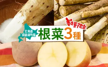 数量限定 根菜3種セット 計8.6kg 土付き 長芋 5kg 土付き ごぼう 1.5kg じゃがいも 1.8kg 11月下旬~12月下旬までのお届け 野菜 詰め合わせ 根菜 常温 青野農園 北海道 洞爺湖町
