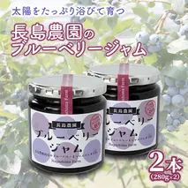 ブルーベリージャム 2本 ジャム ブルーベリー 国産 茨城県産 [AK007sa]