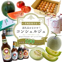 【 茨城県桜川市 コンシェルジュ】 返礼品おまかせ！寄附額 100万円 コース オーダーメイド サービス ピックアップ 高額 代行 お好み セット 詰め合わせ [BR015sa]