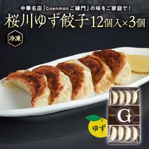 桜川 ゆず餃子  本格 中華 冷凍 餃子 オリジナル ギョウザ 焼餃子 セット お取り寄せ 手包み おつまみ おかず [BK005sa]