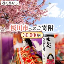 【返礼品なし】桜川市へのご寄附30,000円[BR003sa]