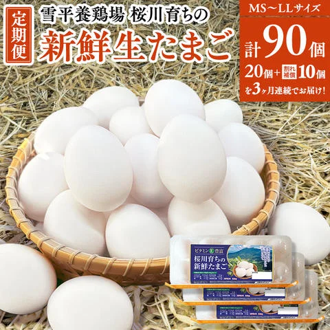 3ヵ月定期便】雪平養鶏場 桜川育ちの 新鮮 たまご 合計90個 （20個＋10