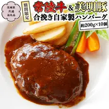 【期間限定】常陸牛 & 美明豚 の合挽き自家製 ハンバーグ (茨城県共通返礼品 行方市) 国産 和牛 銘柄 お手頃 惣菜 グルメ 茨城県 料理 [CV015sa]