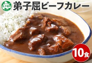 507.ビーフカレー 10個 セット 中辛 牛肉 業務用 レトルトカレー 備蓄 まとめ買い 北海道 弟子屈町