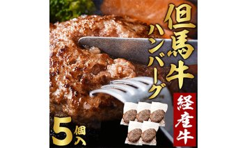 010AA09N.但馬牛経産牛ハンバーグ（150g×5個）