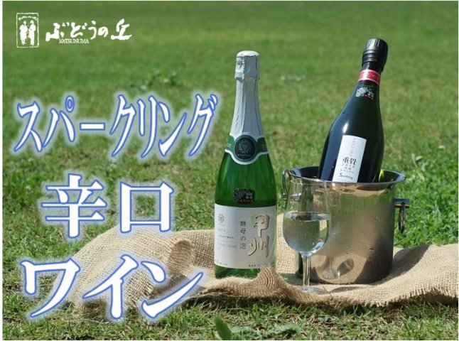 勝沼ぶどうの丘推奨スパークリングワイン辛口2本セット B2-604
