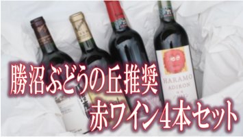 D-604．勝沼ぶどうの丘推奨赤ワイン４本セット