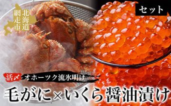 毛ガニ オホーツク流氷明けの活〆毛がにといくら醤油漬けセット  ABAO023