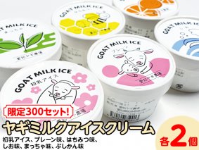 【限定300セット！】ヤギミルクアイスクリーム 6種類×各2個（全12個入）| 犬 猫 おやつ ※離島への配送不可