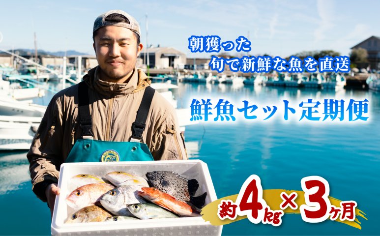 定期便全３回】産地直送！ 海陽町より旬の魚をお届け！ 鮮魚セット 中セット 約４kg×３ヶ月連続 詰め合わせ |  クチコミで探すならふるさと納税ニッポン！