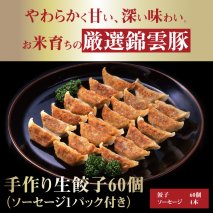 お米育ちの錦雲豚　手作り生餃子60個（ソーセージ1パック付き）