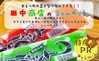 ＜田中商店　フルーツシャーベット詰め合わせ(イチゴ味10本、メロン味10本)＞昔なつかしの味！